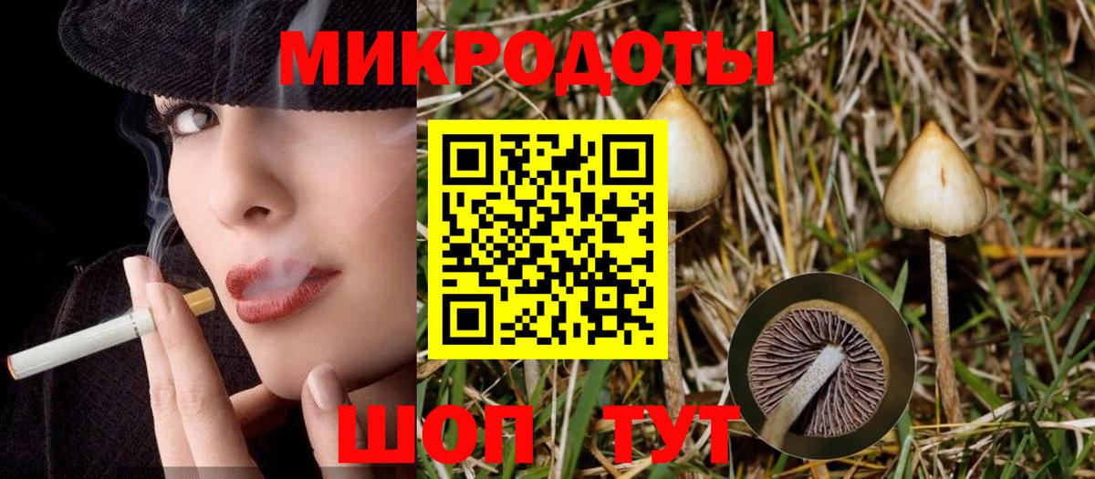 Галлюциногенные грибы Psilocybine cubensis Советский