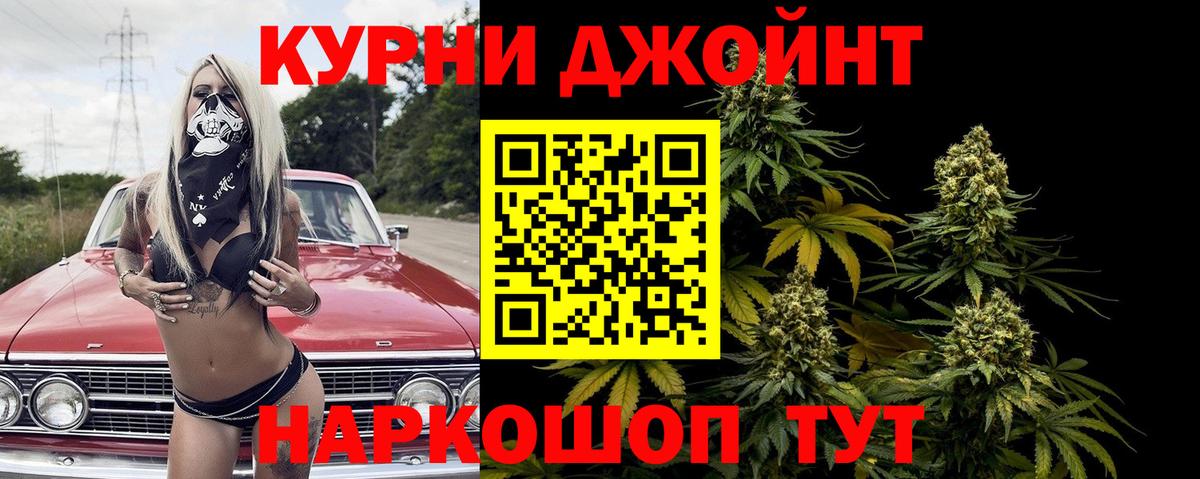 Каннабис сатива  Конопля семена  Шишки марихуана план  Канабис MAZAR  Советский  Вход с VPN 